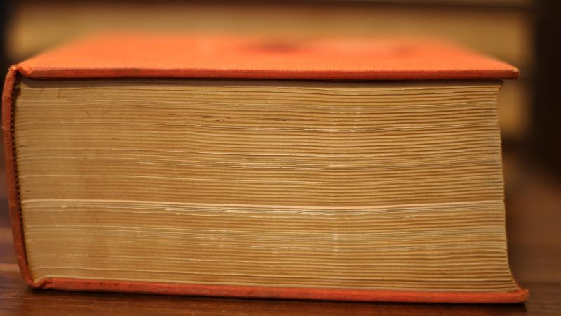 新华字典在线查字词语例句与成语扩展功能测评 配图