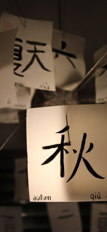 查字结果页截图，屏幕中央显示汉字大字与拼音，下方依次是释义、组词列表和两条带出处的例句，右上角有收藏图标